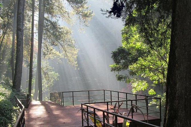 Bandung Private Tour Mountain Volcano and Hotspring ( Overland ) - Key points before you go