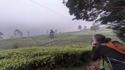 Bandung: Tangkuban Parahu Volcano, Waterfall & Culture Tour - Tangkuban Parahu: Crater Views and a Guided Walk