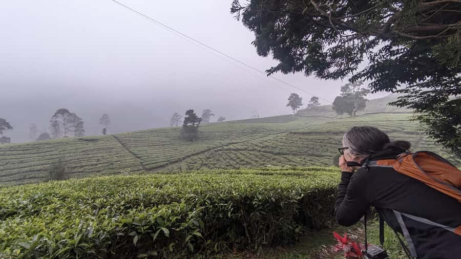 Bandung: Tangkuban Parahu Volcano, Waterfall & Culture Tour - Tangkuban Parahu: Crater Views and a Guided Walk
