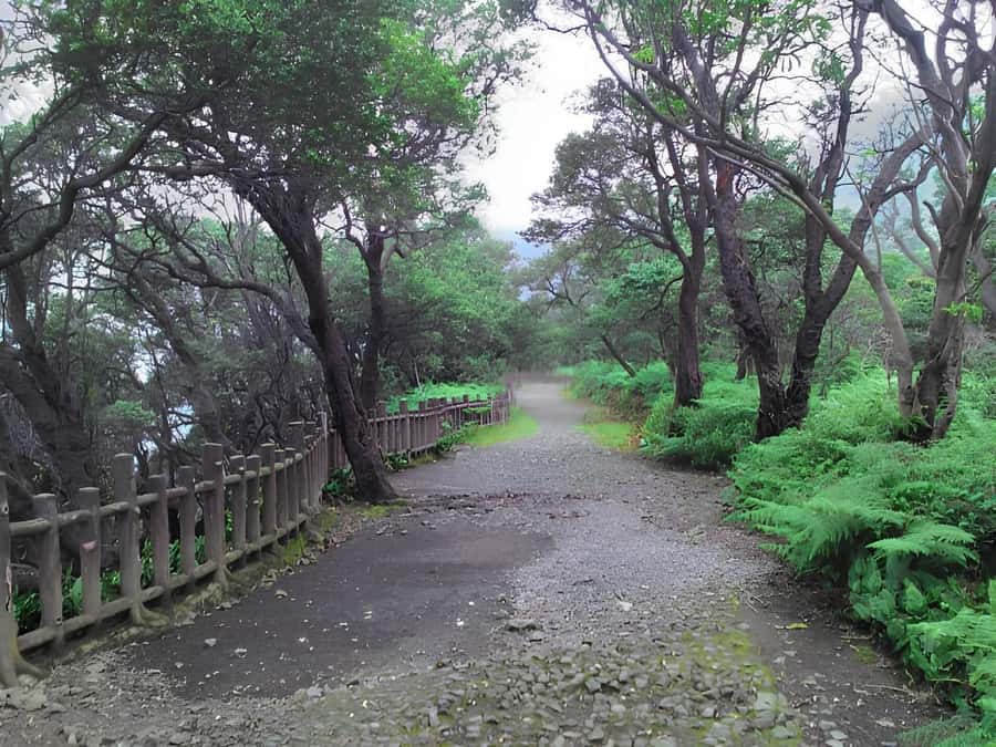 Bandung Tangkuban Perahu Volcano Tours - Timing, timing, timing: weather and late-day light