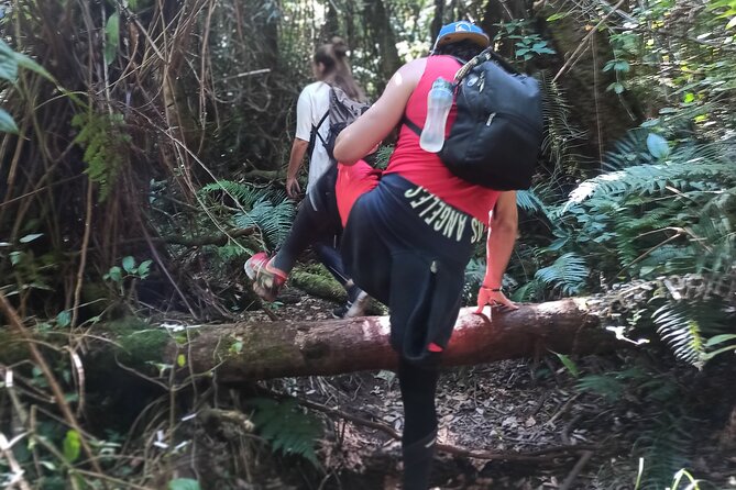 Bandung Tour Volcano, Hotsprings, Mud, Tea, Lunch all Included - Rengganis Crater: suspension bridge views, then hot springs and mud baths