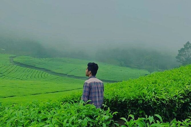 Bandung Tour Volcano, Hotsprings, Mud, Tea, Lunch all Included - Patenggang Lake lunch: where the day slows down