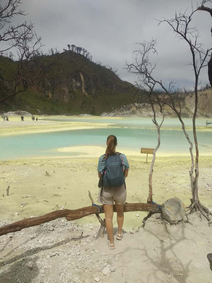 Bandung : White Crater, Tea Plantation Tour Guide Bandung - Should You Book This White Crater, Tea, and Hot Springs Day Trip?