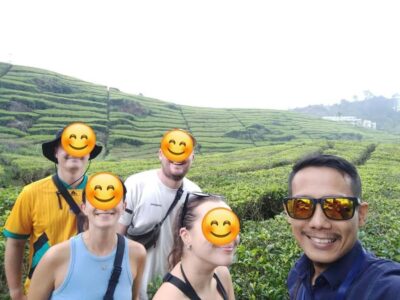 Bandung : White Crater, Tea Plantation Tour Guide Bandung - Price and Value: $57 Includes a Lot, But Extras Exist