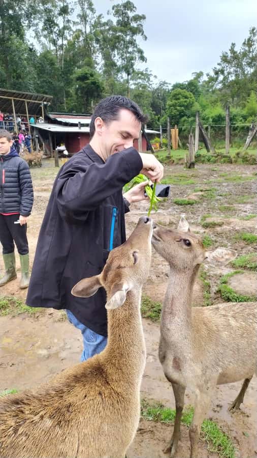 Bandung:Kawah Putih,Volcano,HotSpring,Mud Bathing,Lake Tour - Ranca Upas Deer Conservation Center: Close-Up Deer Time Without the Hassle