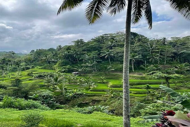 Banyumala Waterfall, Jatiluwih, Ulun Danu and Tanah Lot tours - Price and logistics: what $70 actually buys you