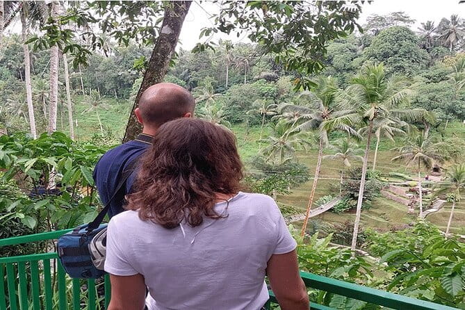 Banyumala Waterfall, Jatiluwih, Ulun Danu and Tanah Lot tours - Buyan and twin lakes views: a calmer photo stop in Wanagiri Gobleg