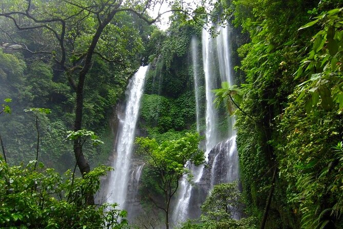 Banyuwana & Banyumala Waterfalls Tour Private - All-Inclusive - The Scenic Side: Kintamani Volcano Views and Tegalalang Rice Terrace Photos