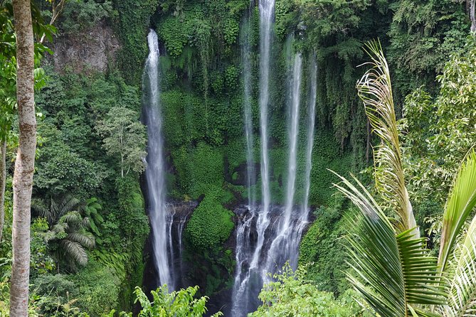 Banyuwana & Banyumala Waterfalls Tour Private - All-Inclusive - Getting There: Pickup, Private Pace, and How Long to Plan