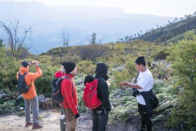 Banyuwangi/Bali: Ijen Crater Blue Fire & Sunrise Guided Tour - Price and value: what $27 really buys (and what costs extra)