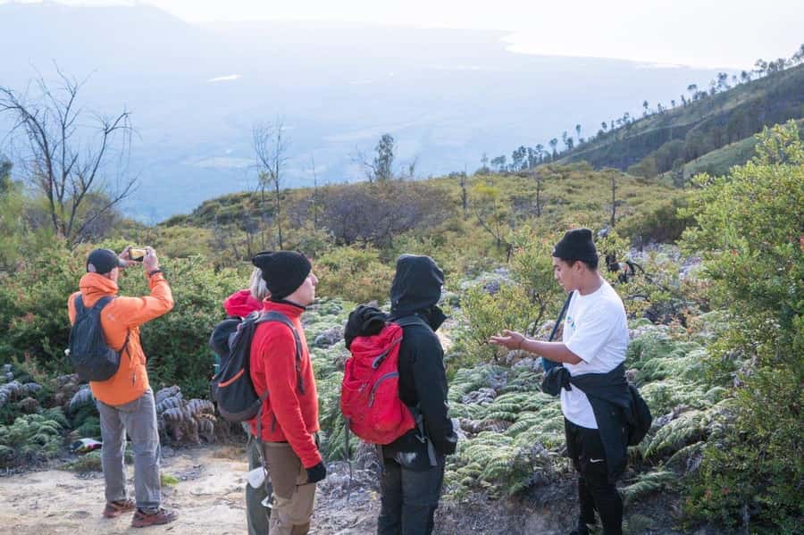 Banyuwangi/Bali: Ijen Crater Blue Fire & Sunrise Guided Tour - Price and value: what $27 really buys (and what costs extra)