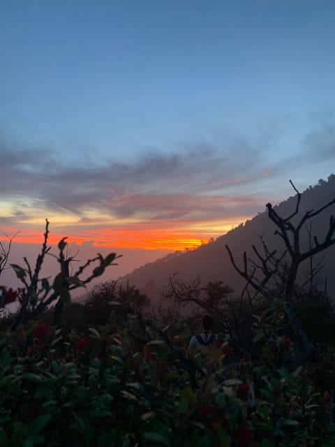Banyuwangi/Bali: Ijen Volcano Midnight Blue Fire Guided Tour - Sunrise viewpoint: why the tea matters more than you think