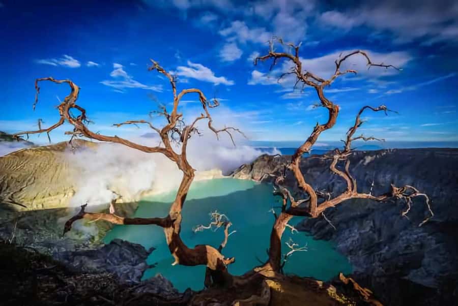 Banyuwangi: Ijen Blue Fire Tour with Transfer Services - The pre-dawn climb: briefing, timing, and what “2:00 AM ascent” means