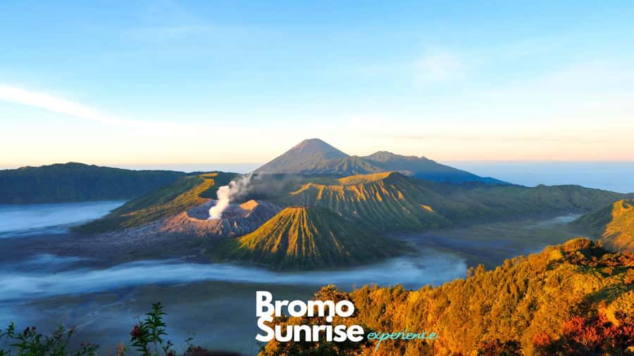 Banyuwangi: Ijen Crater and Bromo Mountain 2 Day Tour - Key things I’d watch (and enjoy) on this tour