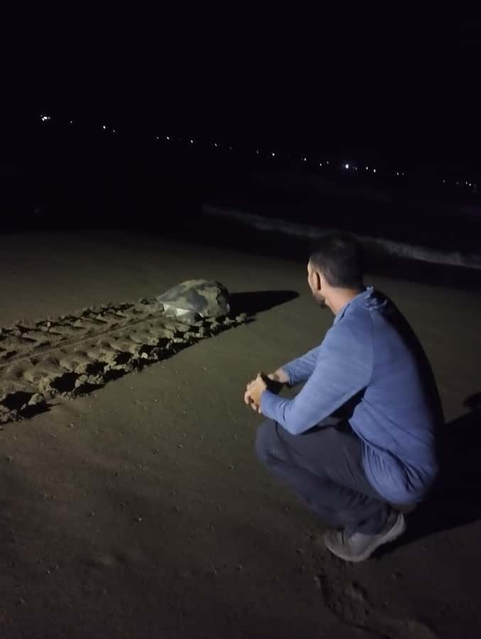 Banyuwangi: Sukamade Beach Turtle Conservation 2-Day Tour - Key Things You’ll Remember From This 2-Day Turtle Tour