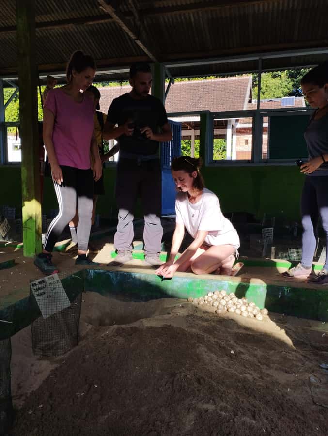 Banyuwangi: Sukamade Beach Turtle Conservation 2-Day Tour - Day 1: Jeep to Merubetiri National Park and the Green Bay Swim