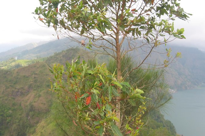 Batur Caldera Sunrise Trekking - Price and value: is $120 fair for this setup?