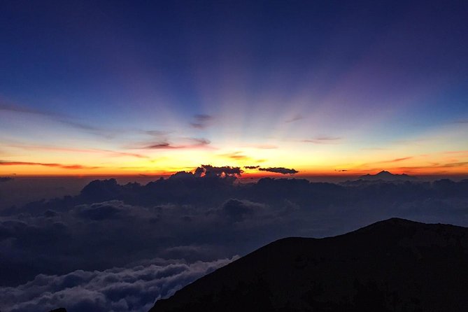 Batur Volcano Sunrise Trekking, Rice Teracce & Bali Coffee Plantation Tour - Key highlights in plain terms