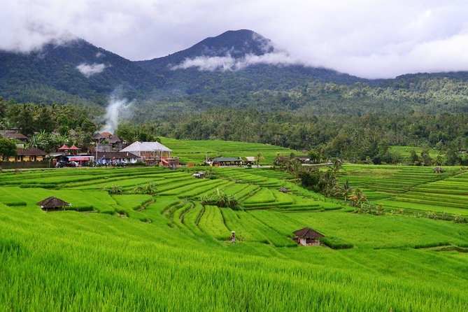 Beauty Of West Bali Tour (Private and All Inclusive) - Jatiluwih Green Land: Rice Terraces and a Big-View First Stop