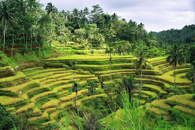 Beauty Of West Bali Tour (Private and All Inclusive) - Ulun Danu Bratan Temple: Lake Views in the Mountains