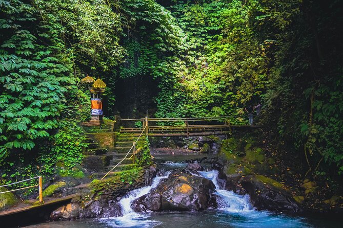 Bedugul and Singaraja Tour - Rainforest Walk and Gitgit Waterfall: Worth It, But Bring Real Shoes