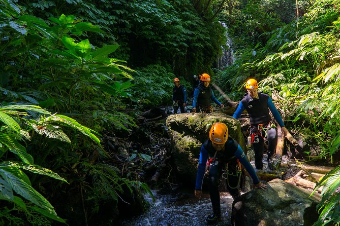 Beginner Canyoning trip in bali "Banyuwana canyon" - Pickup, Wanagiri Base, and the Morning That Gets You Ready