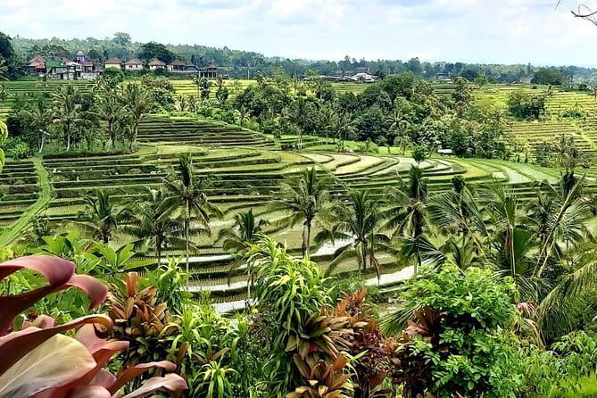 Beji Griya Waterfall Bali Spritual Holy Bath Experience - What the priest-guided ritual feels like in practice