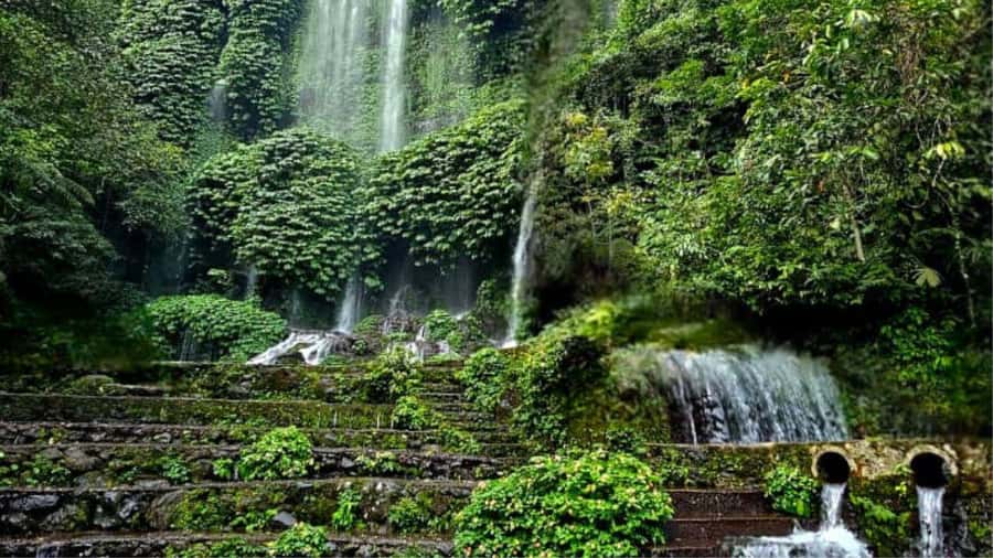 Benang Kelambu: Authentic Lombok Rice Field & Waterfall Tour - Rice fields at Gunung Jae: where the morning moves slowly