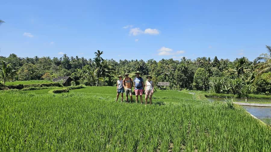 Benang Kelambu: Authentic Lombok Rice Field & Waterfall Tour - Making Cerorot: a hands-on snack with meaning