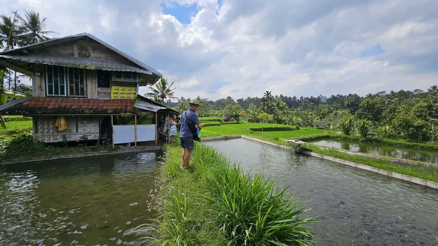 Benang Kelambu: Authentic Lombok Rice Field & Waterfall Tour - What to bring (and what can ruin your day)
