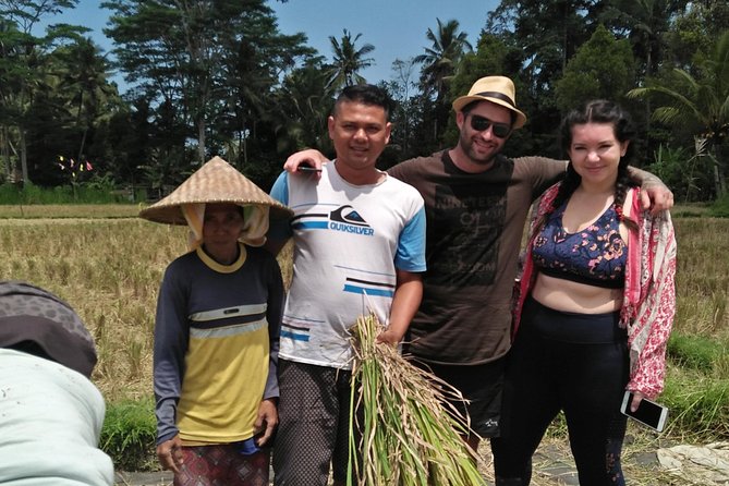 Benoa Cruise Port: Private Bali Day Tour with Local Guide - Price and value: what $33 really buys, plus the add-ons