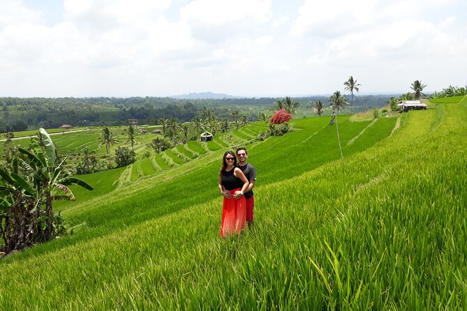 Beratan , lake side temple tour , all inclusive - North-Central Bali Air: Why This Route Feels Different