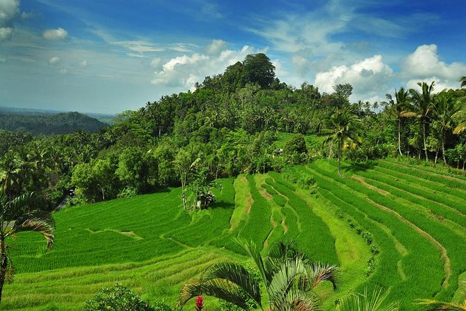 Besakih Temple Tour - Mother Temple in Bali - Stop 4: Tukad Cepung Waterfall and the stairs you’ll actually feel
