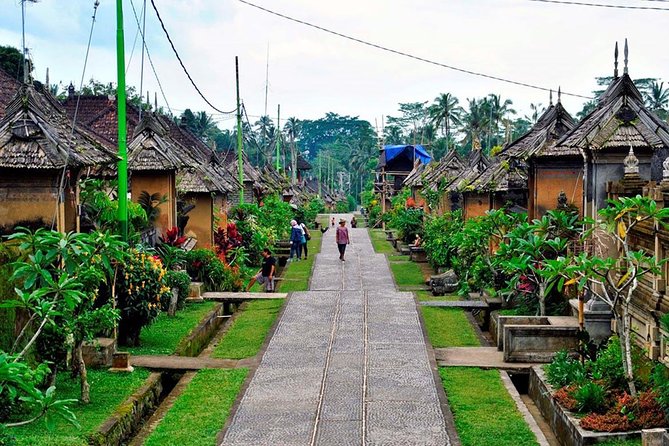 Besakih Temple Tour - Traditional Bali Village - All Inclusive - The private driver/guide effect: why this feels easier than DIY