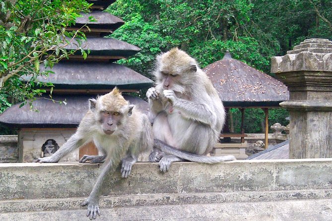 Best Bali Package Tour: 4 Days with Airport or Hotel Transfer - Seminyak as Your Launchpad: Why This Route Works