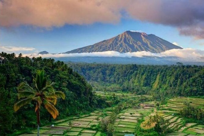 Best bali transport service - custom your own itinerary - Key highlights you’ll care about