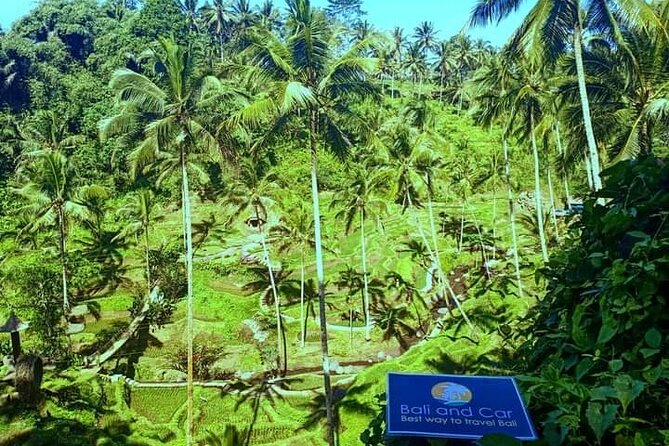 Best bali transport service - custom your own itinerary - Timing, traffic, and how to avoid a stressful 10-hour day