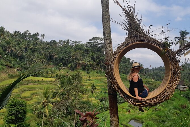 Best Bali Ubud Full Day All-Inclusive Private Tour - Stop 2: Sacred Monkey Forest with practical photo etiquette