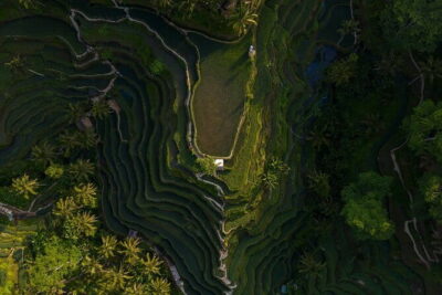 Best Day Tour - #3 World Cleanest Traditional Village - Tegenungan Waterfall: Green Views With Two Easy Ways to Experience It
