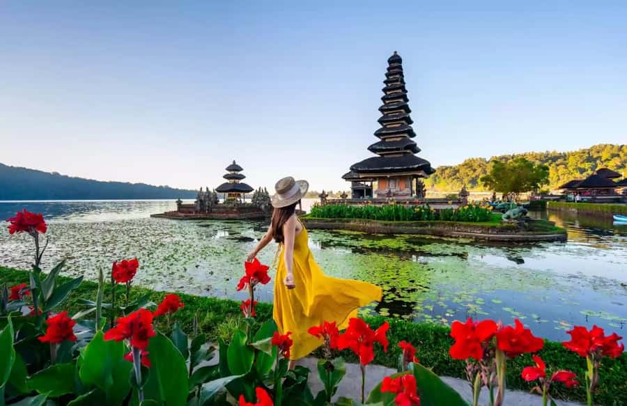 Best Northern Side Of Bali Privat Day Tour - Key Highlights Worth Planning For