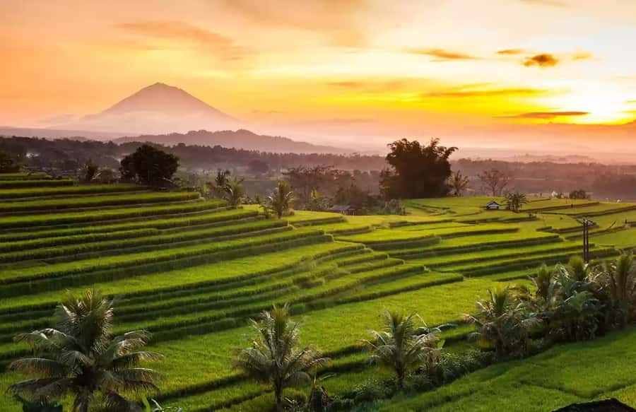 Best Northern Side Of Bali Privat Day Tour - A Private Northern Bali Day That Feels Like Your Own Pace