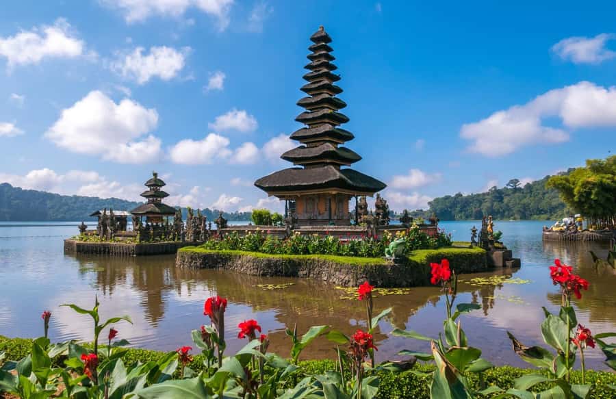Best Northern Side Of Bali Privat Day Tour - Who This Northern Bali Day Works For (and Who Should Skip It)