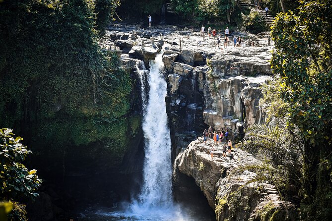 Best of Bali : Bali Temples , Rice Terrace and Waterfall Tour - A private driver is the real value in this all-day Bali combo