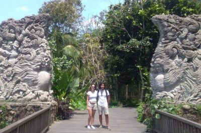 Best of Bali Jungle Swing with Ubud Sightseeing Tour - Seminyak pickup and private-driver logistics that matter