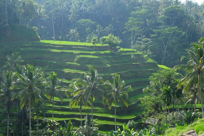 Best of Bali Private Shore Excursions - Ubud Traditional Art Market: What to Browse and How to Spend Wisely