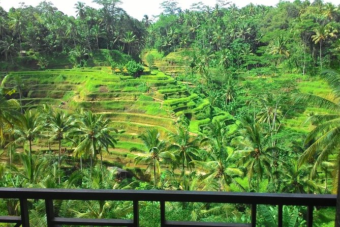Best of Bali : Ubud, Rice terrace, Tanah lot temple with Lunch - A One-Day Bali Highlights Route: Rice Fields, Temples, and Crafts