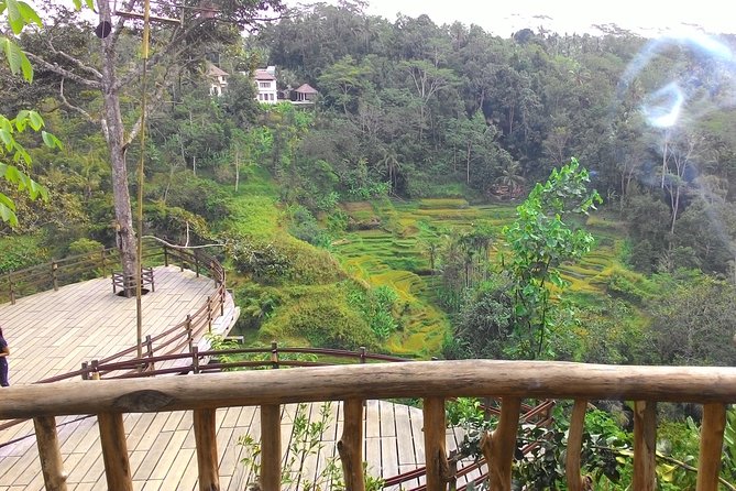 Best of Bali : Ubud, Rice terrace, Tanah lot temple with Lunch - Tegalalang Rice Terrace: Farming on a Steep Hill (and Great Photo Spots)