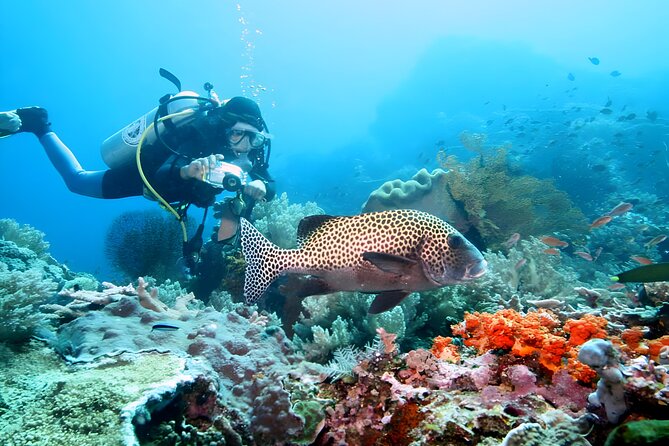 Best of Bali Water Sport Jumbo Packages - Safety, Life Jackets, and Insurance: What You Should Check on Arrival
