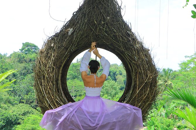 Best of Instagram Tour: Gate of Heaven, Tirta Gangga, Bali Swing - Why the Driver-Guide Makes or Breaks the Day