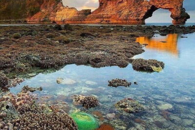 Best of Nusa Penida All-Inclusive Day Trip - Hotel Pickup at 6:00 am and the Sanur Fast-Boat Flow